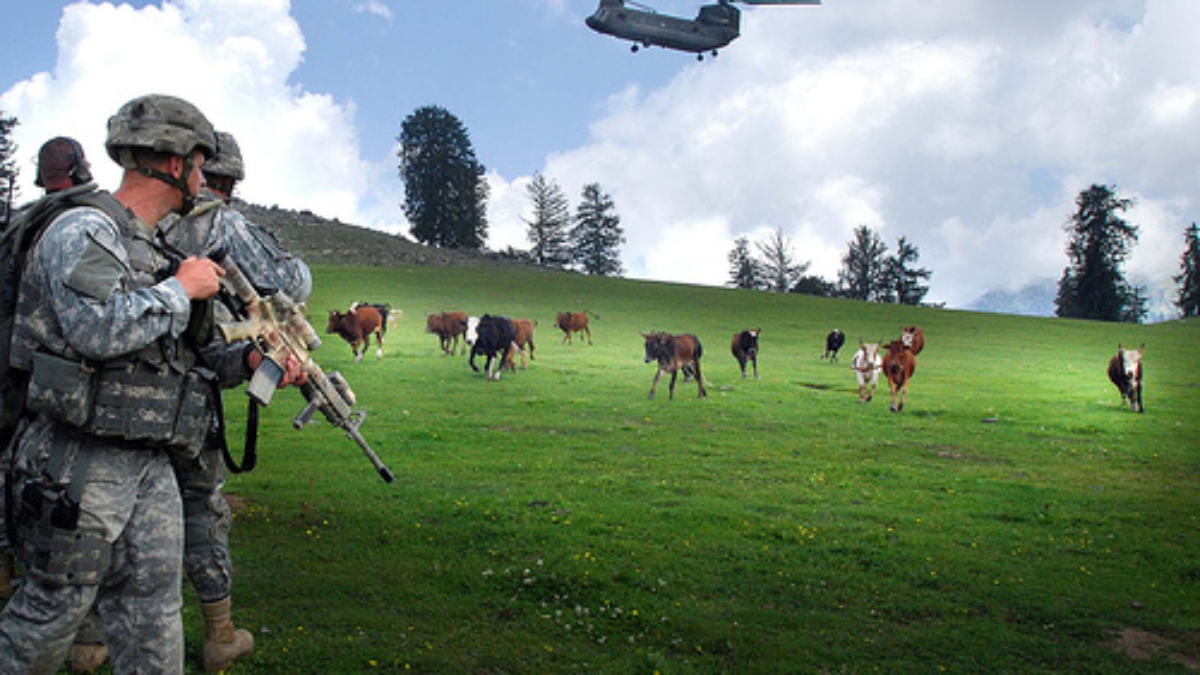 American soldiers watch as a CH-47 helicopter lands in an Afghan cattle field.