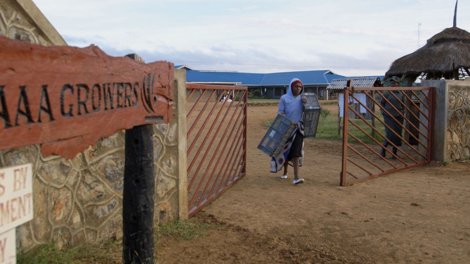 Simba Farm Gate.jpg